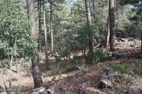 000 N Sundown Lane Ln #104, Pine, AZ 85544 photo 8