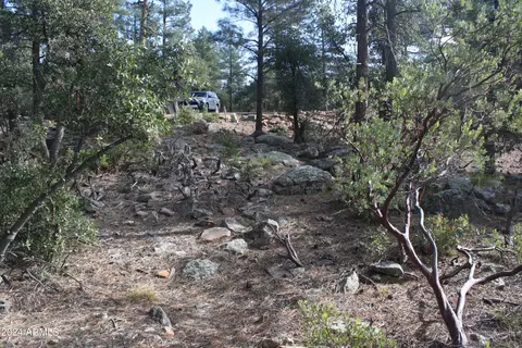 000 N Sundown Lane Ln #104, Pine, AZ 85544 photo 7