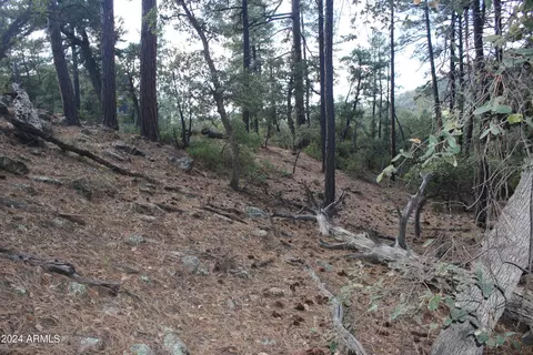000 N Sundown Lane Ln #104, Pine, AZ 85544 photo 13