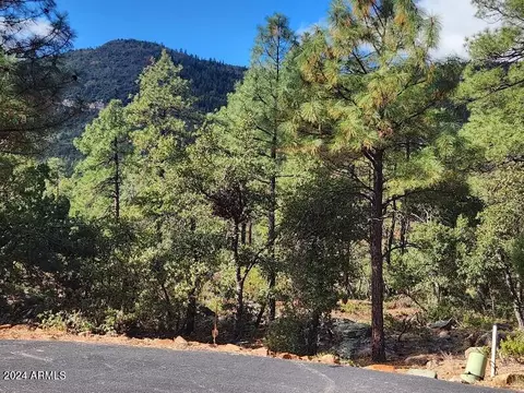 000 N Sundown Lane Ln #104, Pine, AZ 85544 photo 5