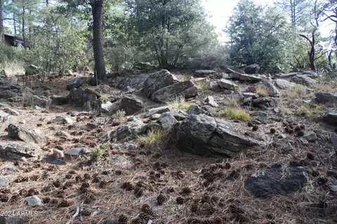 000 N Sundown Lane Ln #104, Pine, AZ 85544 photo 9