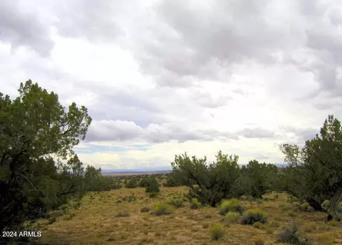 22 Cr N7101 -- #109, Saint Johns, AZ 85936