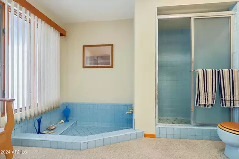 Bath - 2546 E Hale St, Mesa, AZ 85213 photo 1 of 4