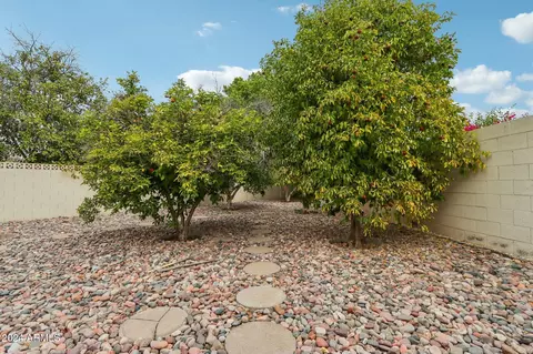 Exterior - 2546 E Hale St, Mesa, AZ 85213 photo 10 of 12