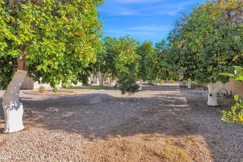 Exterior - 3331 E Indigo Cir, Mesa, AZ 85213 photo 10 of 19