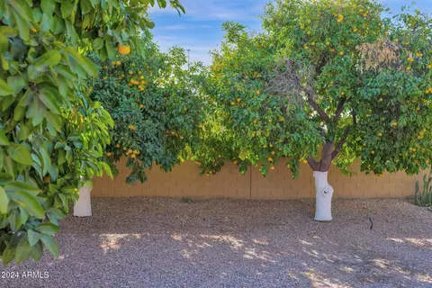 Exterior - 3331 E Indigo Cir, Mesa, AZ 85213 photo 11 of 19