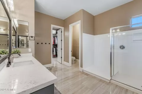Bath - 3022 E Warbler Rd, Gilbert, AZ 85297 photo 3 of 6