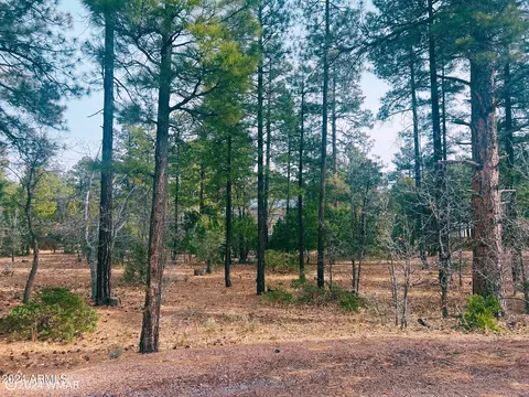 6331 E Starlight Ridge Rd #19, Lakeside, AZ 85929