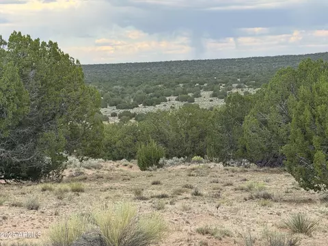 171 E Witch Well Rnch #171, Saint Johns, AZ 85936