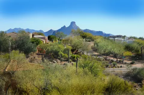 11664 N Sunset Vista Dr #45, Fountain Hills, AZ 85268