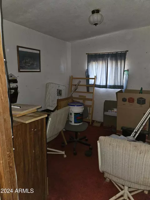 167 W Rye Rd, Douglas, AZ 85607 photo 34