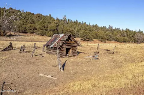 3537 Forest Service Rd #-, Overgaard, AZ 85933 photo 16