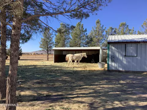 4685 N Fort Grant Rd, Willcox, AZ 85643 photo 39