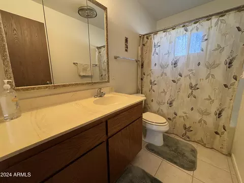 4754 E Carmel Ave, Mesa, AZ 85206 photo 16