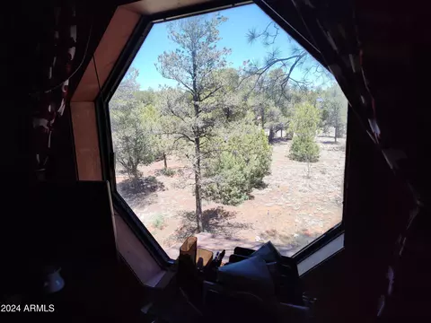 3326 Apache Dr, Overgaard, AZ 85933 photo 34