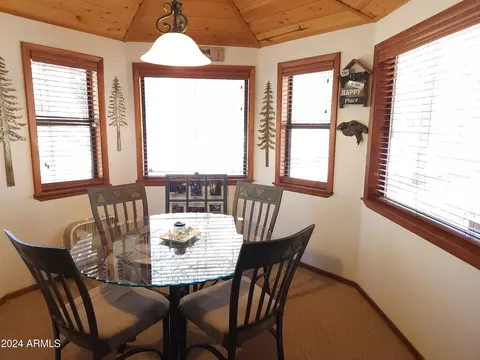 3326 Apache Dr, Overgaard, AZ 85933 photo 12