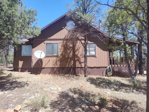3326 Apache Dr, Overgaard, AZ 85933 photo 38
