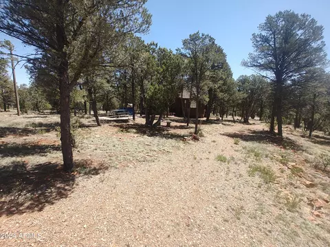 3326 Apache Dr, Overgaard, AZ 85933 photo 37