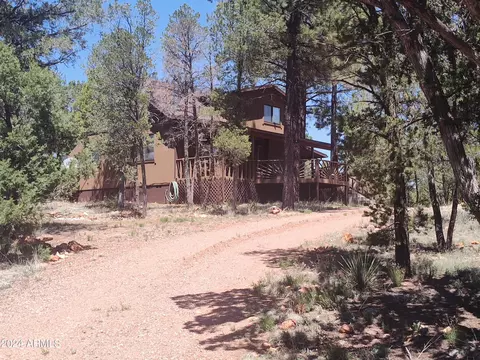 3326 Apache Dr, Overgaard, AZ 85933 photo 3