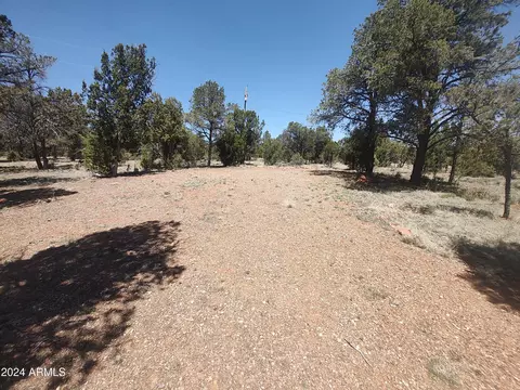 3326 Apache Dr, Overgaard, AZ 85933 photo 36