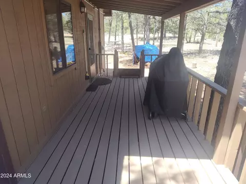 3326 Apache Dr, Overgaard, AZ 85933 photo 8