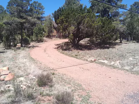 3326 Apache Dr, Overgaard, AZ 85933 photo 2