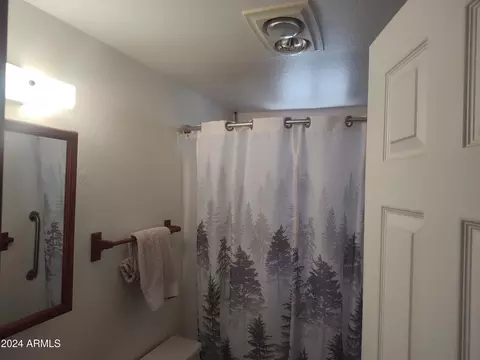 3326 Apache Dr, Overgaard, AZ 85933 photo 23