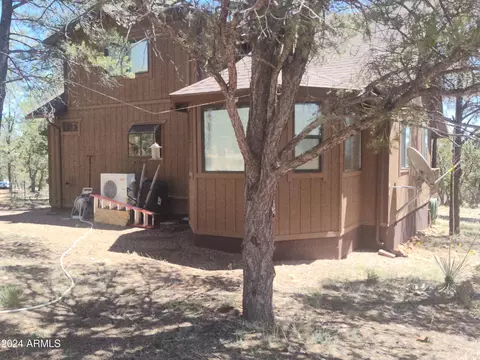 3326 Apache Dr, Overgaard, AZ 85933 photo 40