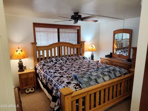 3326 Apache Dr, Overgaard, AZ 85933 photo 21