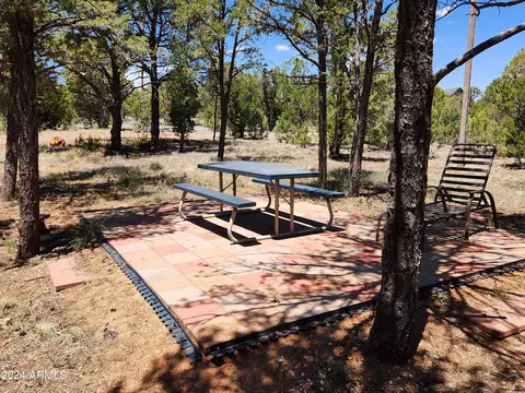 3326 Apache Dr, Overgaard, AZ 85933 photo 19