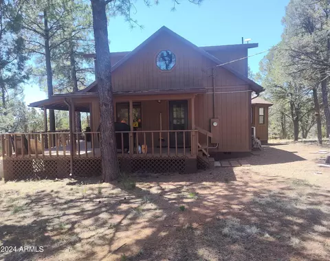 3326 Apache Dr, Overgaard, AZ 85933 photo 35