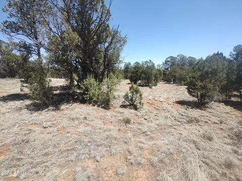 3328 Apache Dr #342, Overgaard, AZ 85933
