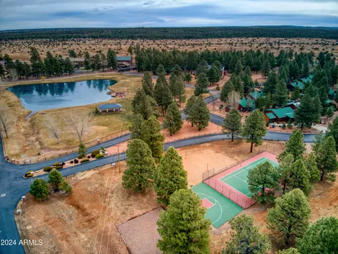 2722 High Pine Loop, Overgaard, AZ 85933 photo 3