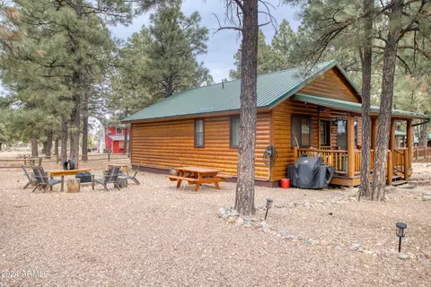 2722 High Pine Loop, Overgaard, AZ 85933 photo 16