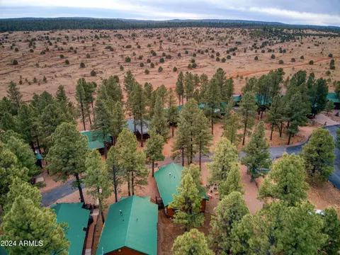 2722 High Pine Loop, Overgaard, AZ 85933 photo 4