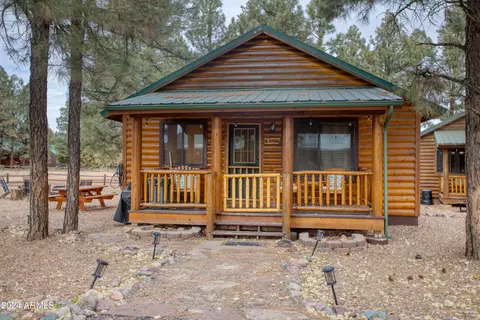 2722 High Pine Loop, Overgaard, AZ 85933 photo 15