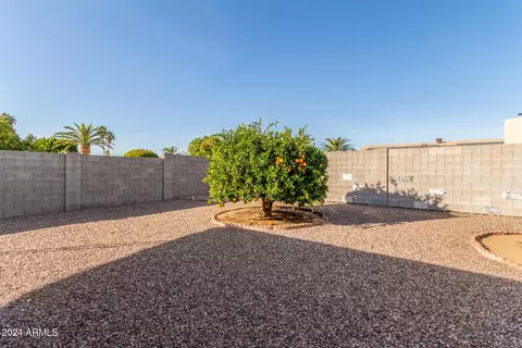 6424 E Dallas St, Mesa, AZ 85205 photo 35
