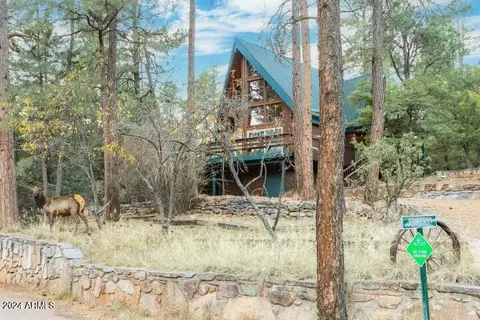 Other - 4616 N Juniper Ln, Pine, AZ 85544 photo 13 of 23