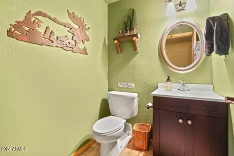 Bath - 4616 N Juniper Ln, Pine, AZ 85544 photo 3 of 3