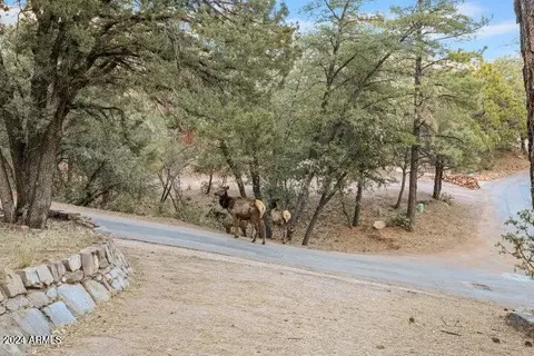 Other - 4616 N Juniper Ln, Pine, AZ 85544 photo 16 of 23