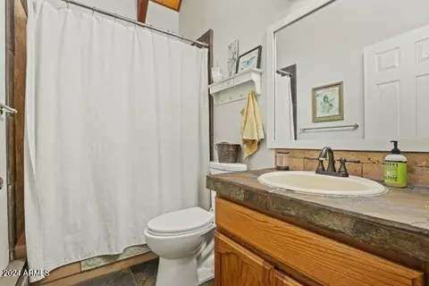 Bath - 4616 N Juniper Ln, Pine, AZ 85544 photo 1 of 3