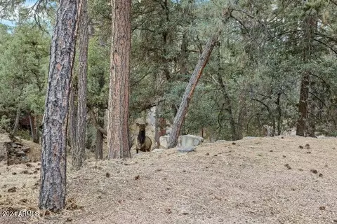 Other - 4616 N Juniper Ln, Pine, AZ 85544 photo 15 of 23