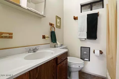 Bath - 6486 W Jan Dr, Pine, AZ 85544 photo 3 of 3