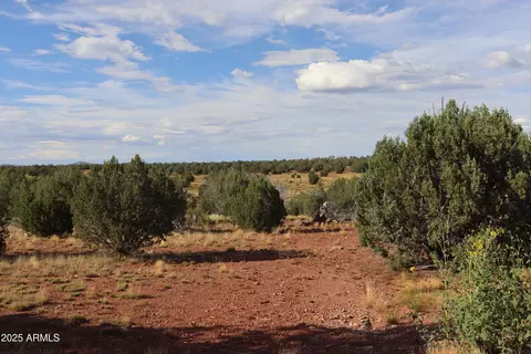 44175 N Cattle Dr, Ash Fork, AZ 86320 photo 19