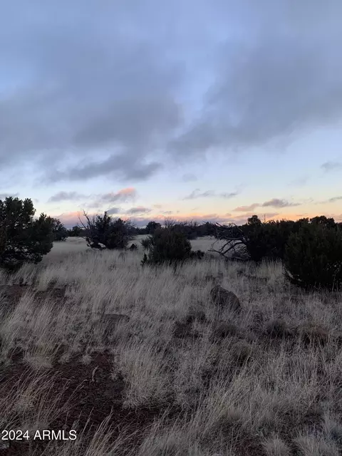 No Address Lot 1916 Mills Lane Road #1916, Concho, AZ 85924