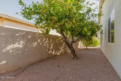 2921 E Lexington Ave, Gilbert, AZ 85234 photo 60