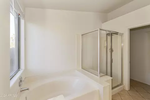 9117 E Hillview Cir, Mesa, AZ 85207 photo 19