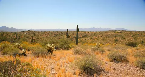 13 N Nnn N Ambush Ln #11, Fort Mcdowell, AZ 85264
