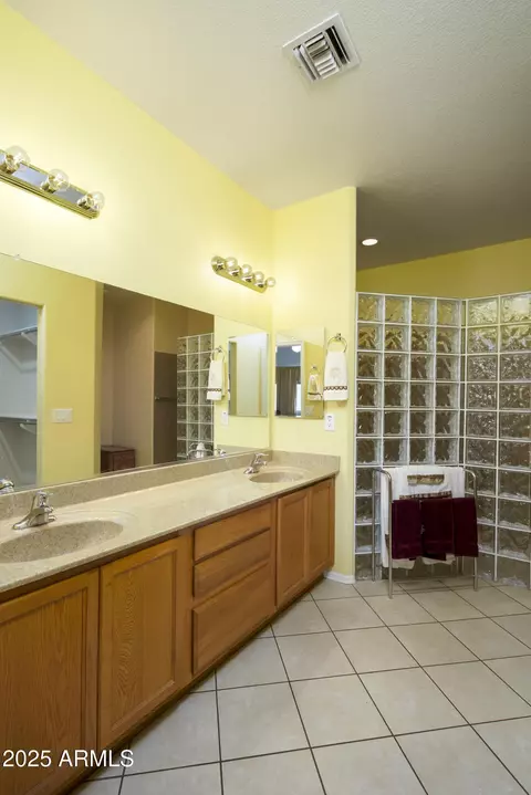 Bath - 11250 E Kilarea Ave #252, Mesa, AZ 85209 photo 1 of 6