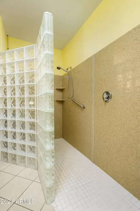 Bath - 11250 E Kilarea Ave #252, Mesa, AZ 85209 photo 3 of 6